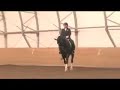 Sadly for sale, Donnertanz, a 1997 17.1 hand confirmed PSG gelding. He is a sweet heart around the barn, who tries very hard to please his rider. He has shown successfully at the PSG level, and is almost strong enough for the Intermediare 1. He would be a super horse for a taller young rider looking to be competitive. For more information, please contact Cindi Wylie at cindi@quarterlinedressage.com.