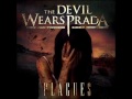 My Top Hardcore/Metal/Rock/and Metalcore My Top Hardcore/Metal/Rock/and Metalcore