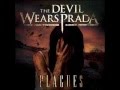My Top Hardcore/Metal/Rock/and Metalcore