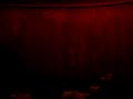 Inside the Chinese Theater - Superman Returns line