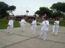 tai chi chuan  yang 37    1er. nivel