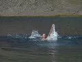 Blue Canyon Lake Aug \