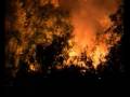 NOTTE ROSSA LOCRIDE - INCENDI ESTATE 2007
