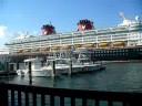 I order scampi as Disney steams by at Port Canaveral I order scampi as Disney steams by at Port Canaveral