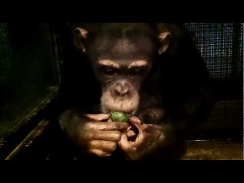 YouTube Preview Image