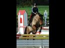mousquetaire 1er journée