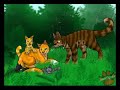 Warrior Cat Couples Tribute