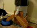 Vid Demo Works good