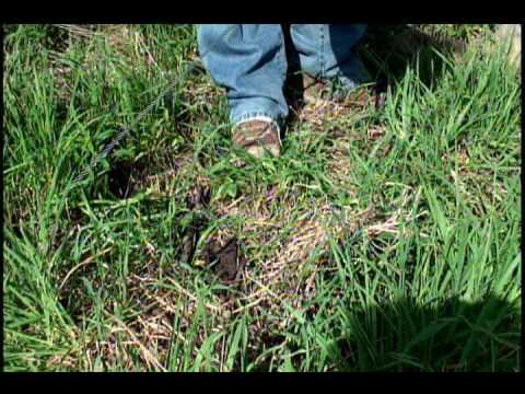 how to locate break in invisible fence