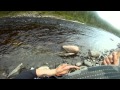 forra-laks 5 juli 2011.mp4