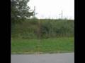 descente en vtt 01