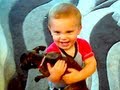 PUPPIES & BABIES!