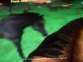 Zoo Tycoon Riding Spirit