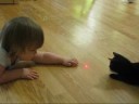 Willow and the Kitties