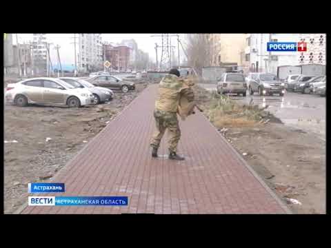 Просмотр видео Просмотр видео