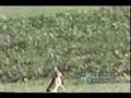 Gonici-Rapca(Dragas)-Srne
