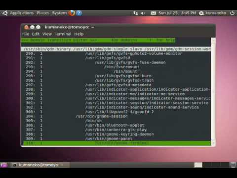 Kickstarting TOMOYO Linux on Ubuntu10 04