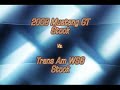 2008 Mustang GT vs. Trans AM WS6 2008 Mustang GT vs. Trans AM WS6