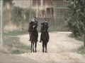 il cavallo siciliano indigeno il cavallo siciliano indigeno