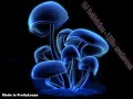 DJ Goldvision - Little mushroom DJ Goldvision - Little mushroom