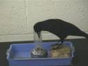 pt�k video.wmv