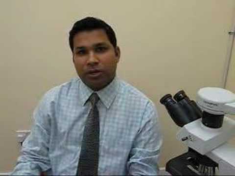 Nervous System - Introduction