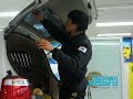 solarGard window tinting solarGard window tinting