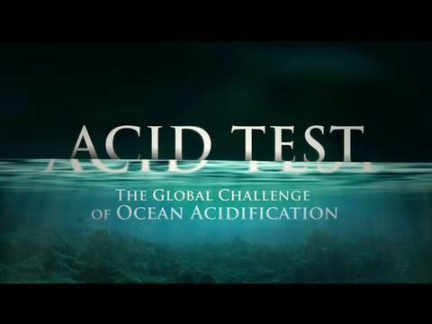 how to test for an acid