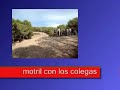 motril con los colegas
