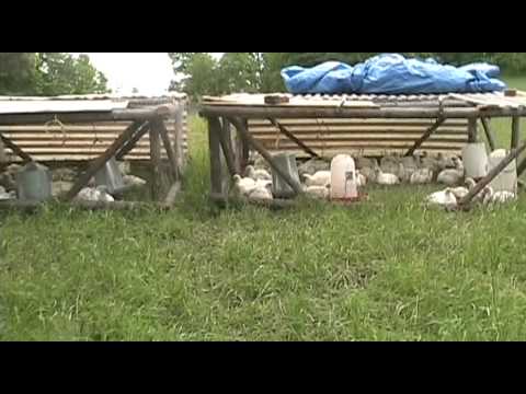 See video