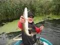 team94 - szczupak-okon-pike video-brochet pologne-blackbass