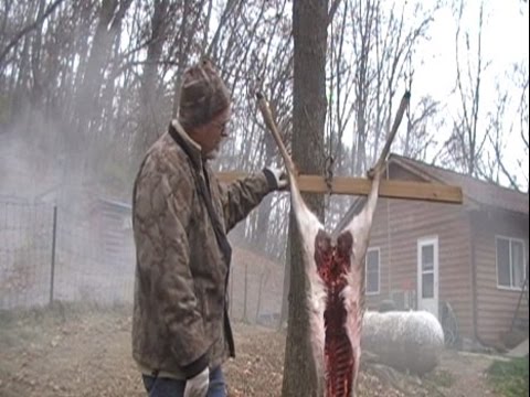 how to skin a deer video