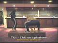 videos de TUI SAU ON A PLATFORM