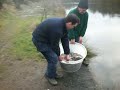 Magiscroft Fishery Main Loch stoking 9th December 2009 second video