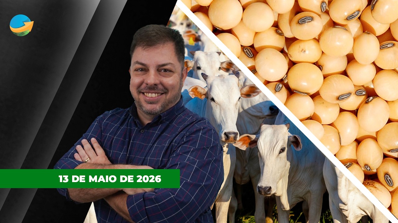 FECHAMENTO DE MERCADO - EDIÇÃO 13-05-2026