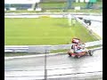 Ger F2 stockies Ger F2 stockies