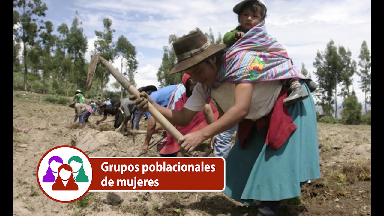 Brechas de género en el valor económico de las unidades agropecuarias en el Perú