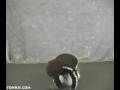 1 1