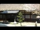 Sakura KOSAI-SHI Sakura KOSAI-SHI