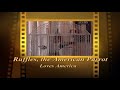 Parrot Says America Is The Greatest Country On Earth