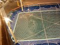 Carnival Victory Pool