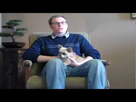 how to relieve puppy dry skin