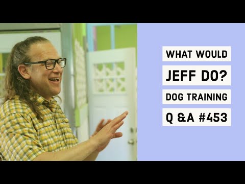 Stop dog whining | Dog fearful of strangers | What Would Jeff Do? Dog Training Q & A #453