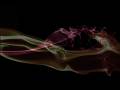 videos de Redhouse - cover of Jimi Hendrix song