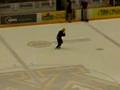 YouTube - Bryan Playing "Dress like a Gopher" at Mariucci