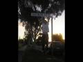 .parkaa.sk8a skill
