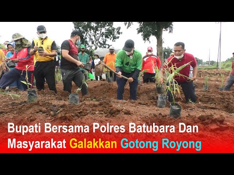 Bupati Bersama Polres Batubara Dan Masyarakat Galakkan Gotong Royong