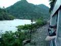 Sabah train ride through forest Digital Asset