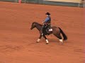 Roopaulena 2006 Freestyle Reining