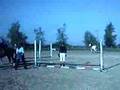 videos de tite video du concour
